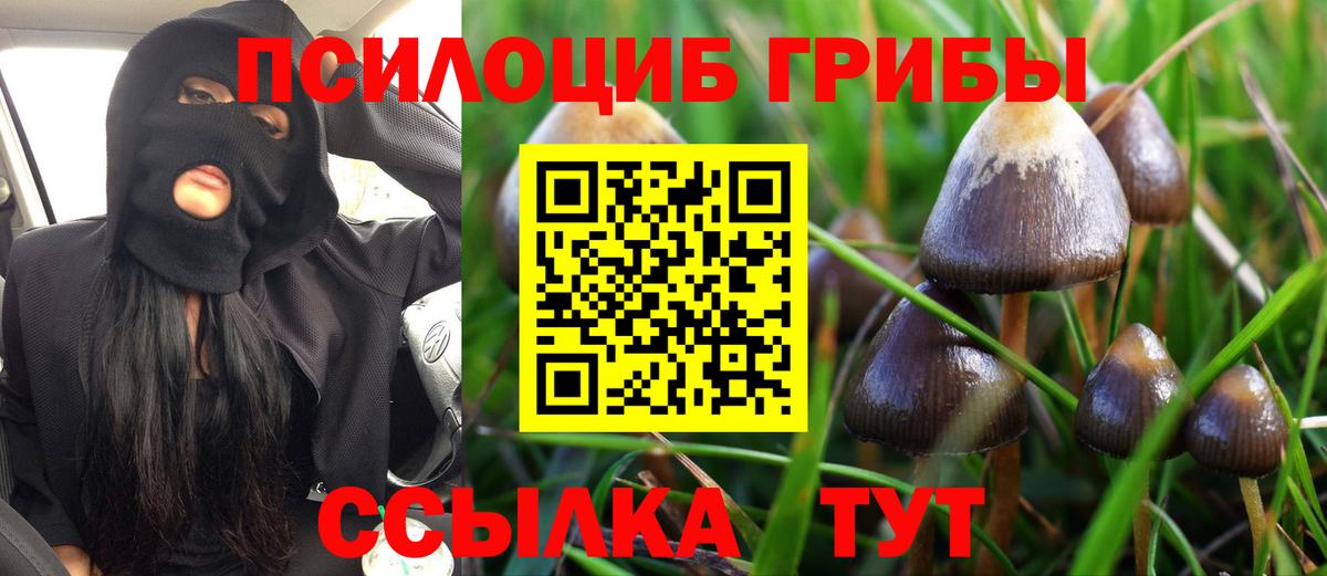 Галлюциногенные грибы Magic Shrooms  Вход с VPN  Железногорск 